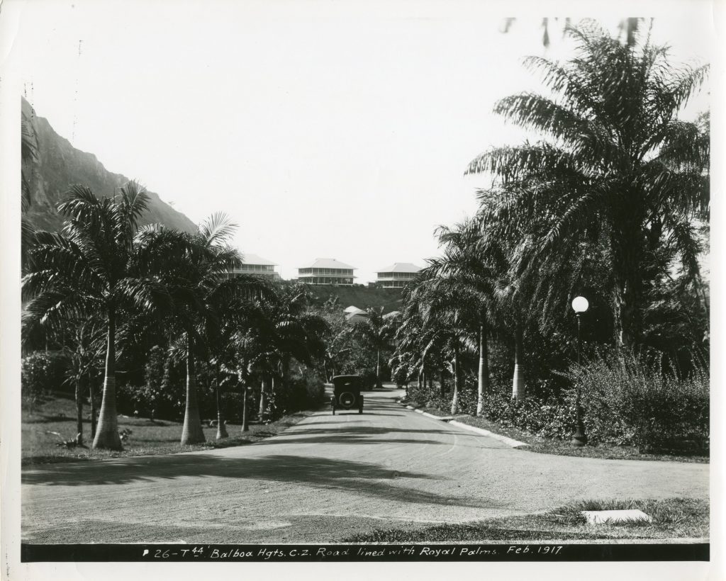 Black and white photo of a car on the road in Balboa Heights Canal Zone February 1917. Royal Palms line the street and there are building on a hill in the background.